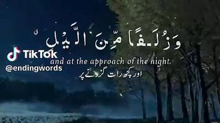 Emotional Quran recitation