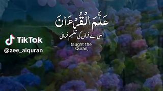 beautiful quran recitation????????????