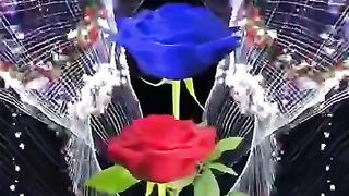 Allah????????????????#foryou #Youtube #tiktok #shortfeed #viralvideo #febspot