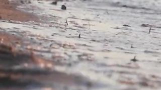 Allah????????????????#foryou #Youtube #tiktok #shortfeed #viralvideo #islamic_video#febspot#viral