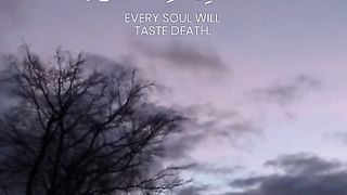 Allah????????????????#foryou #Youtube #tiktok #shortfeed #viralvideo #islamic_video#febspot#viral