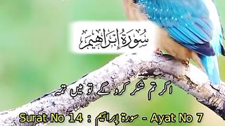 Allah????????????????#foryou #Youtube #tiktok #shortfeed #viralvideo #islamic_video#febspot#viral