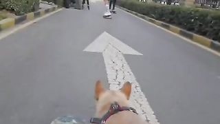 Doggy style