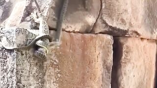 A wonderful friend who fights for his friend's life