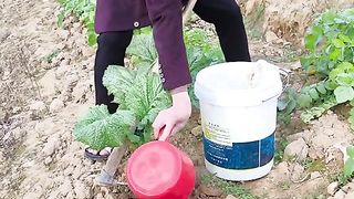 Funny video 2024