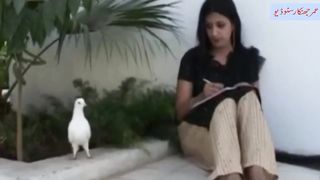 Aj Kabootar Mera Thak Haar Ke Mur (Naseebo Lal) With TP Gold Jhankar