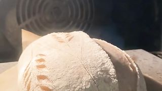 Amazing videos vol 623
