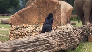 Hide and Go Seek! ????Have you ever seen something so amazing!