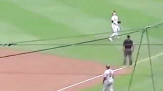 Best catch in baseball ⚾️