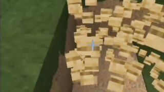 MINECRAFT HIDDEN CHEST TIKTOK HACK