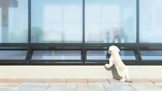 Heart touching dog video.