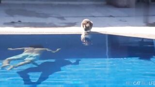 Scaredy  cats compilation