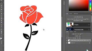 Graphic designer