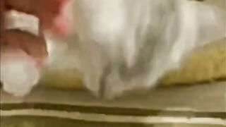 Compilation funniest cat videos 2023 part 7