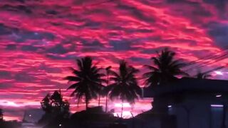 Asthetic Evening Video