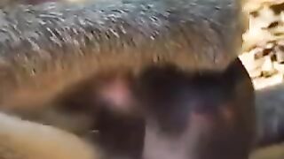 Maltratando o filho
