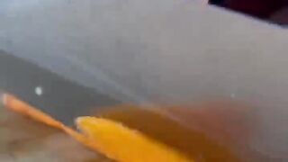 Egg rolls asmr