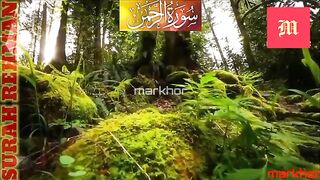Surah Rahman-Surah Rehman with urdu translation-markhor