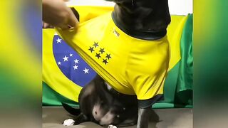 Clima de Natal