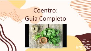 Coentro: tudo o que você precisa saber