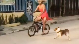 Dog ????