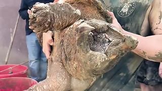 Amazing videos vol 625