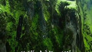 Surah Az-Azallah || short surah juz30 and its meaning
