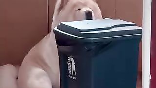 Funny Video Viral Must Watch