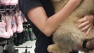 Lovely Chow Chow