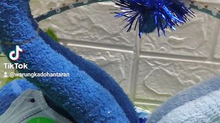 Hantaran Nikah Handuk Couple dan Pakaian Dalam Wanita