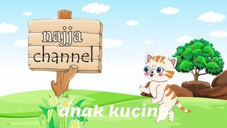anak kucing lagu anak indonesia