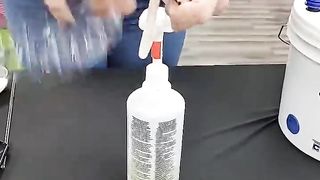 creative