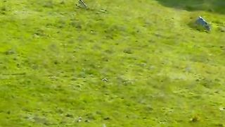 Best animals video new 2024