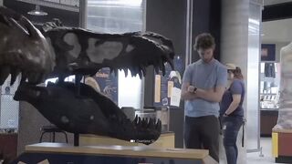 15 невероятных ископаемых животных