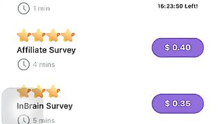 How to check out your summary on Survey Magic?