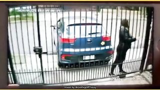 Amazing Lady has great reflexes!