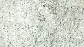 Rhodes grass video viral