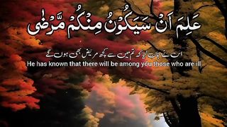 Beautiful Quran Telwat ???? #quran #quranrecitation #quranquotes