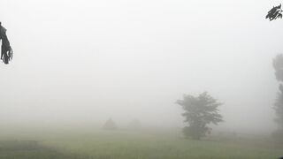 fuggy winter