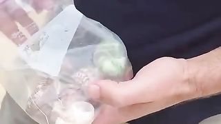 We are fitting a new home for the hermit crab