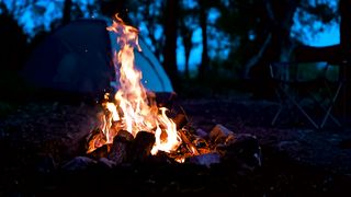Campfire in the woods at night