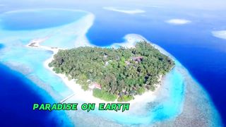 PARADISE ON EARTH NEW