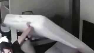 funny video cats compilation