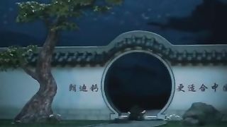 Funny videos