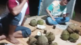 MUSIM DURIAN