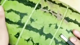 Imajinasi tingkat tinggi
