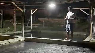 Kolam TANAH semi BETON itu mantap ???? untuk pembudidaya juga bagi pertumbuhan ikan lele