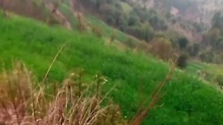 باران رحمت جاری ہے ۔