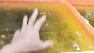 Jika kolam TANDON di isi ikan BOLEH atau TIDAK❓