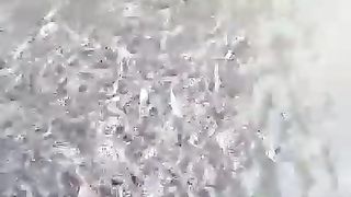 Bibit lele ukuran ini yang pas masuk kekolam tanah untuk pembesaran